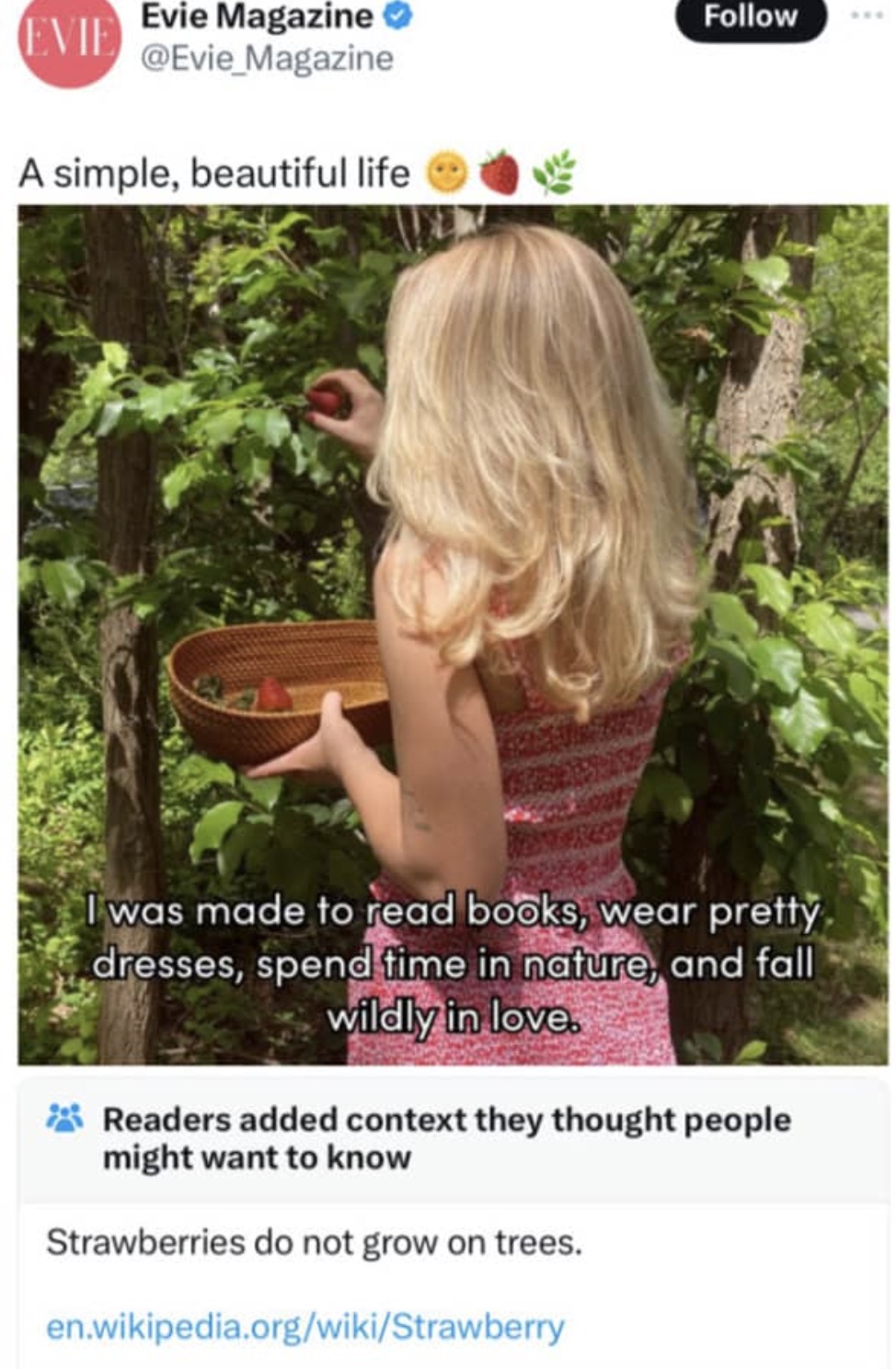 Evie Magazine - Evie Evie Magazine A simple, beautiful life I was made to read books, wear pretty, dresses, spend time in nature, and fall wildly in love. Readers added context they thought people might want to know Strawberries do not grow on trees.…